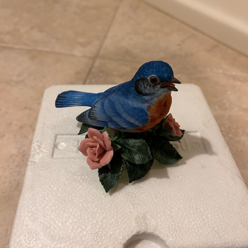 Eastern Bluebird - Lenox